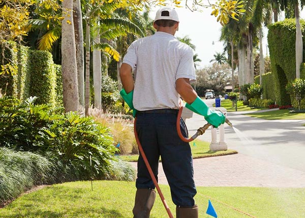 About Cameron NC Pest Control